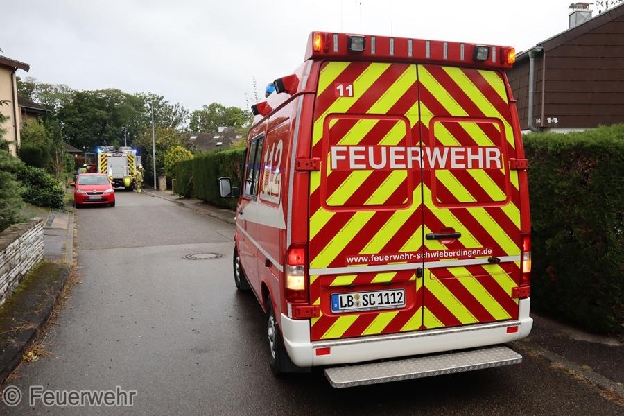 Einsatzfoto Ast/Baum gefallen Verkehrsweg