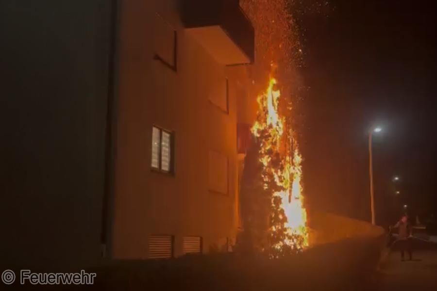 Einsatzfoto Feuer/Rauch Busch/Hecke