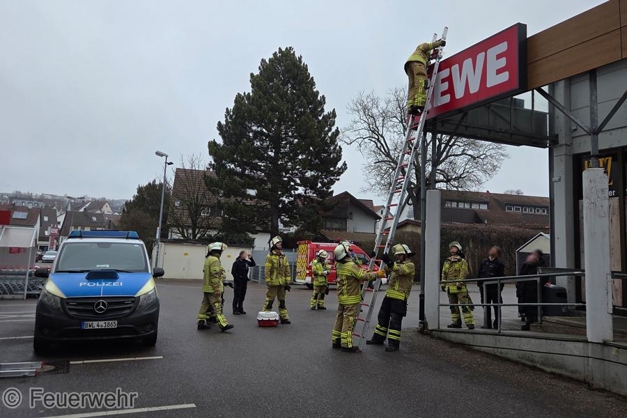 Einsatzfoto Rettung Tier aus >3m Höhe