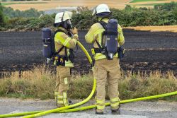 Brand 2