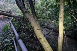 Hilfeleistung 0