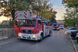 Brand 3