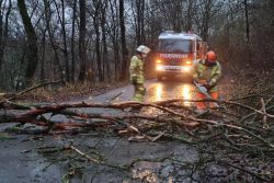 Bild-Nr. 1507 Hilfeleistung 0